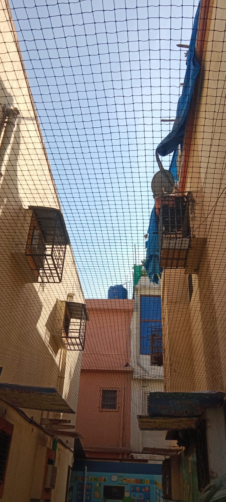 Common area bird net stretched between two residential buildings
